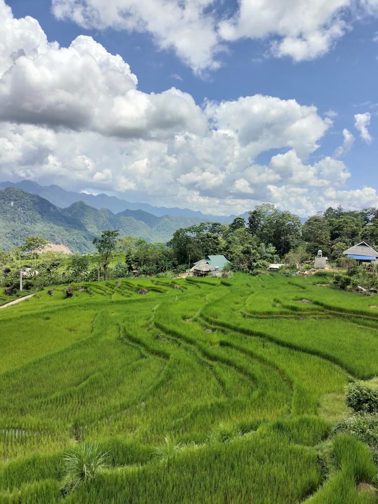 View from property