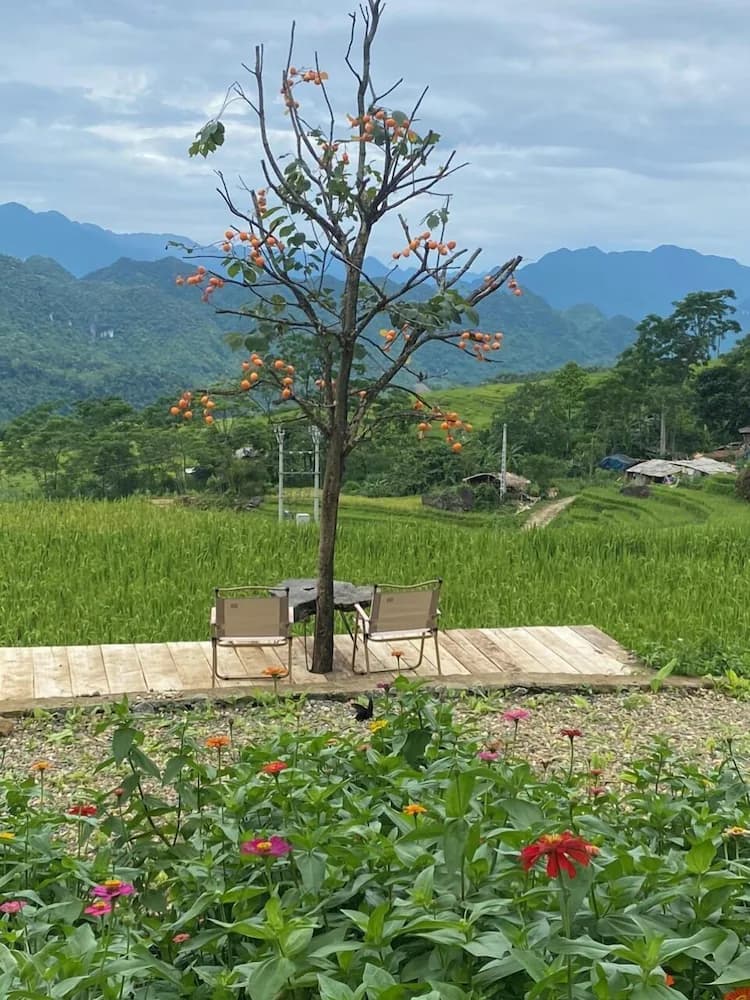 Garden