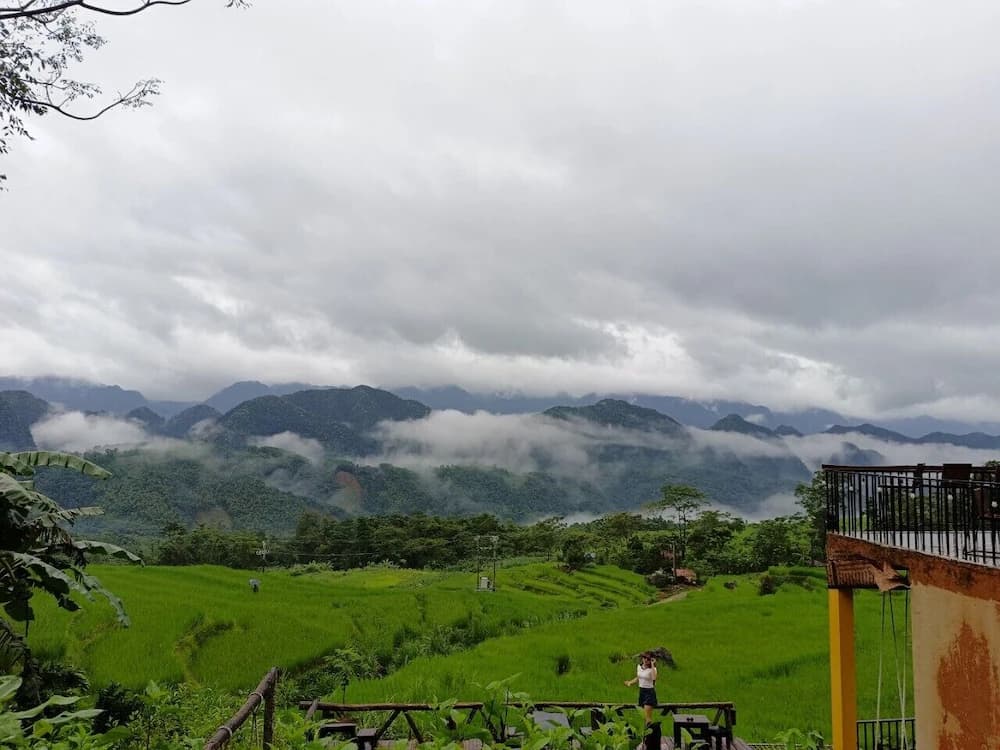 View from property