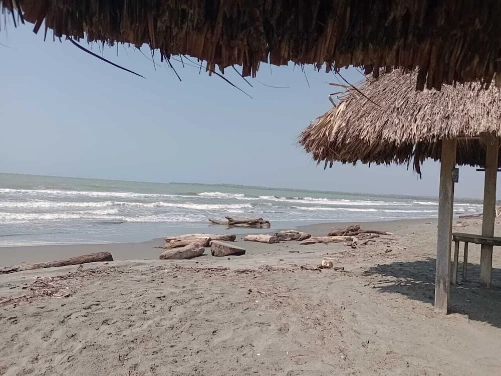 Beach bar