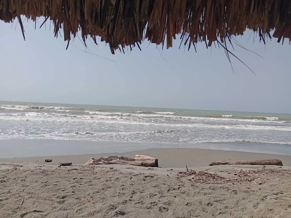 Beach