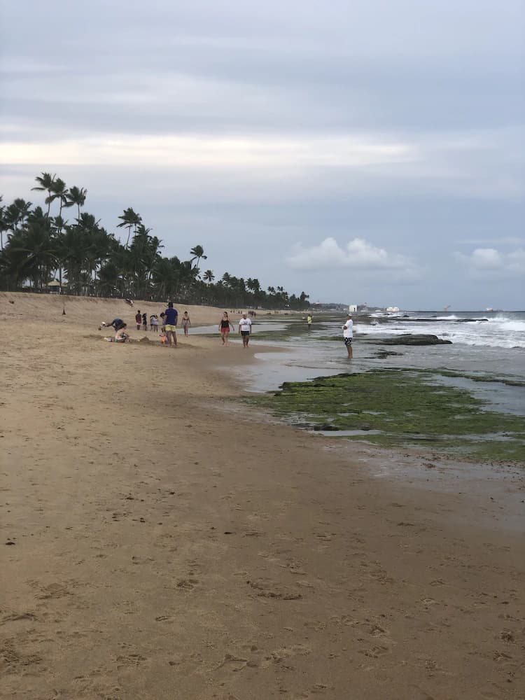 Beach