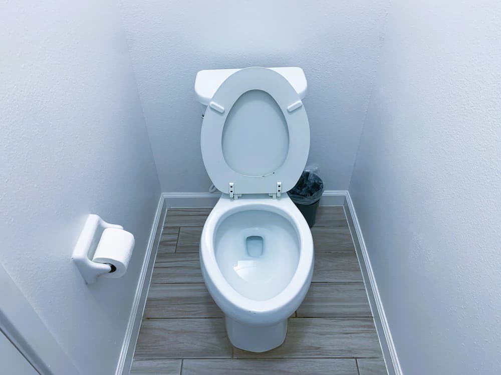Raised toilet seat