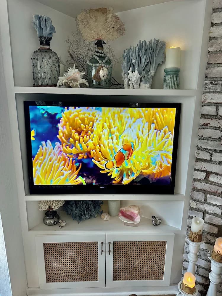 Television
