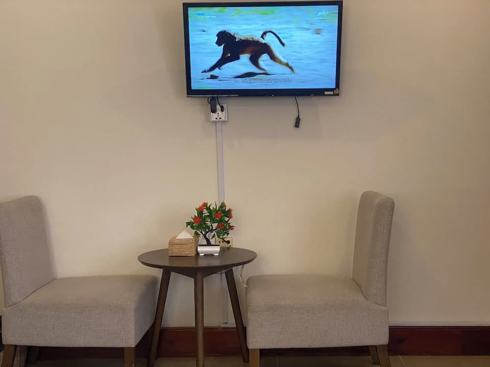 Television