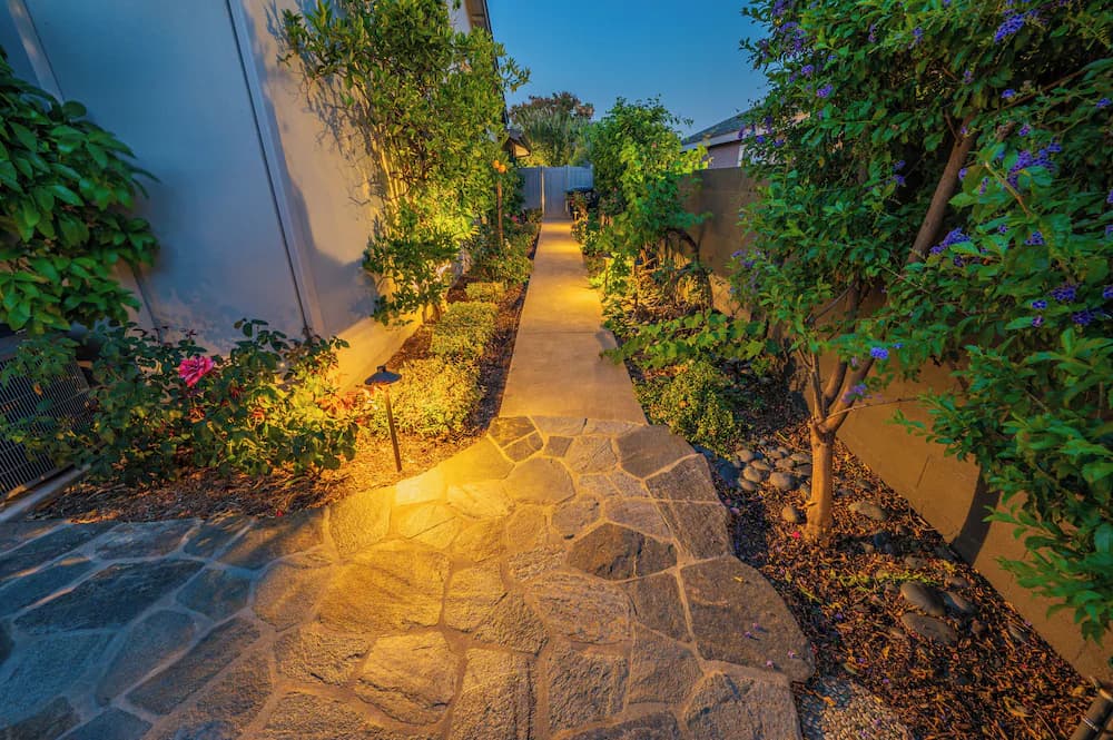 Garden view