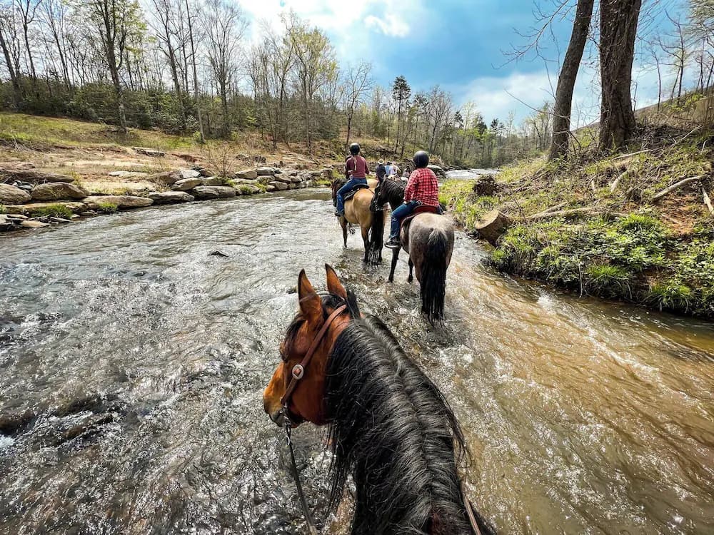 Horseback riding