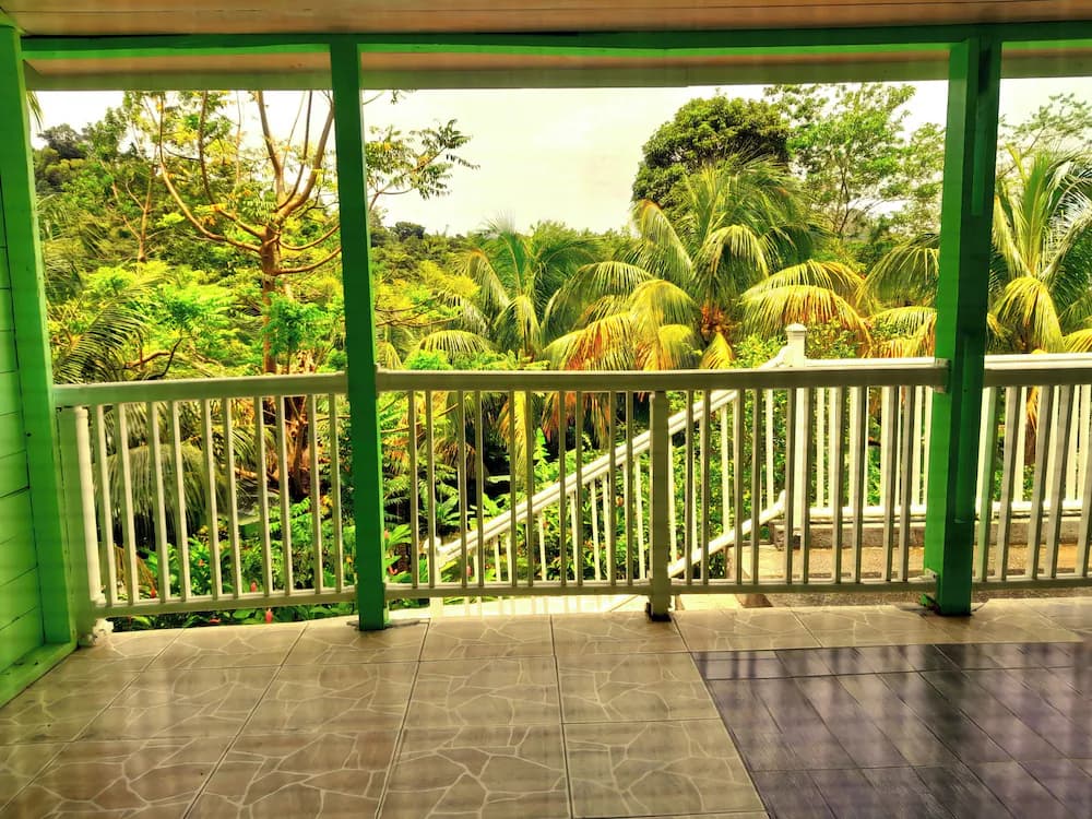 Garden view