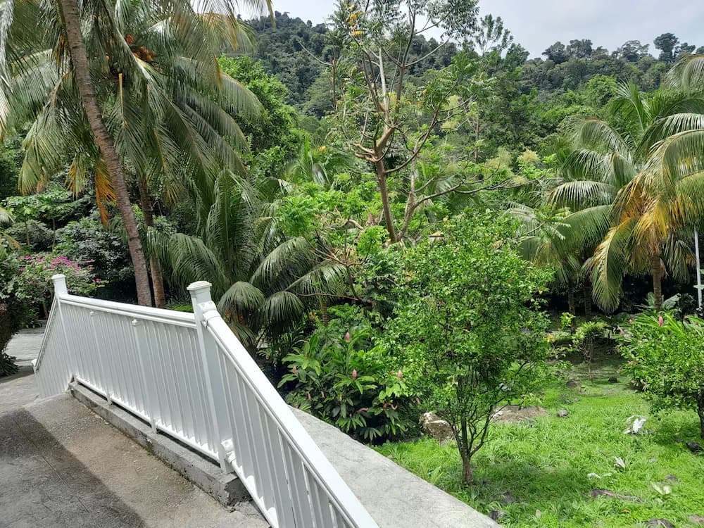 Garden view