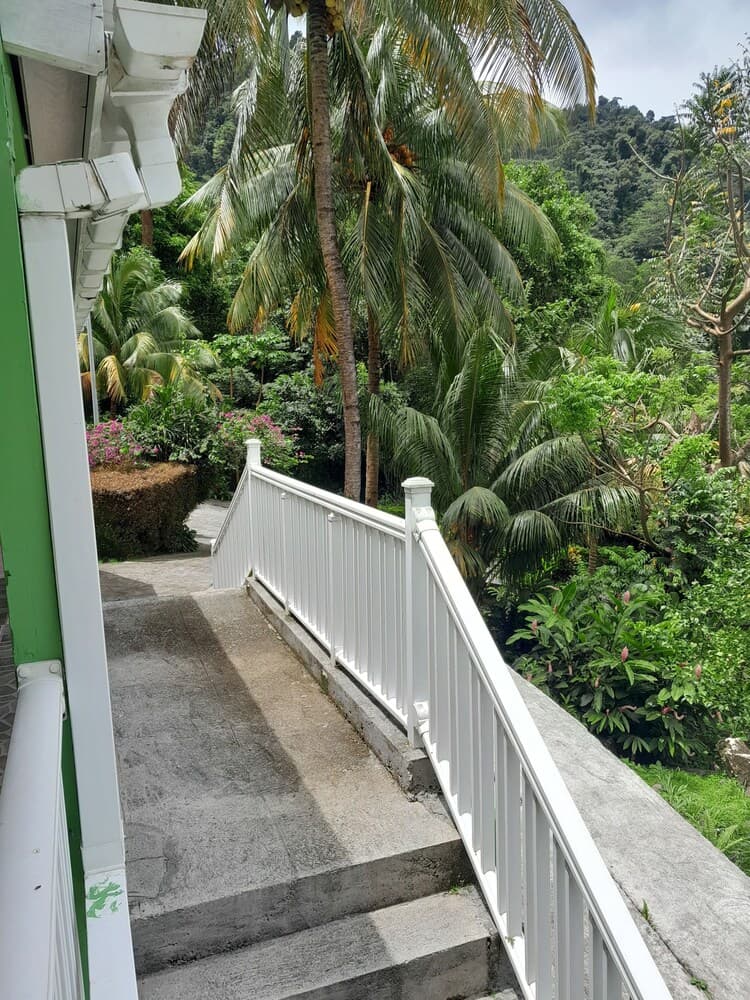 Garden view