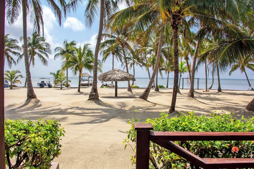 Beach/ocean view