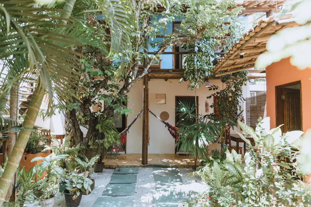 Primary image
