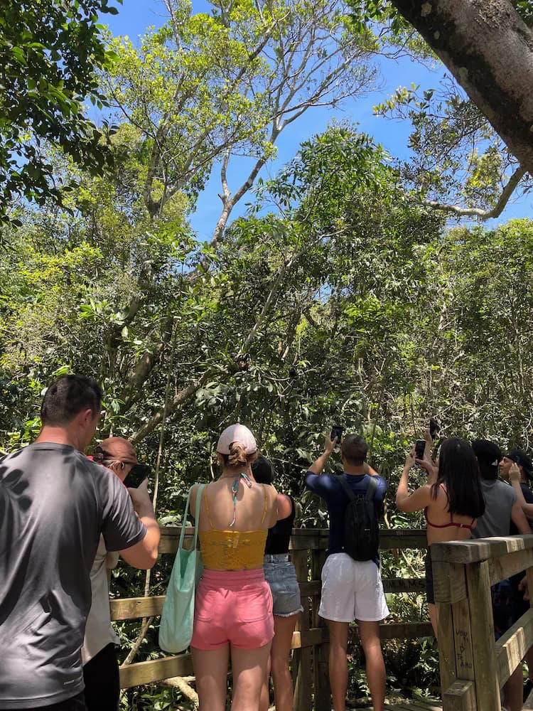 Hiking