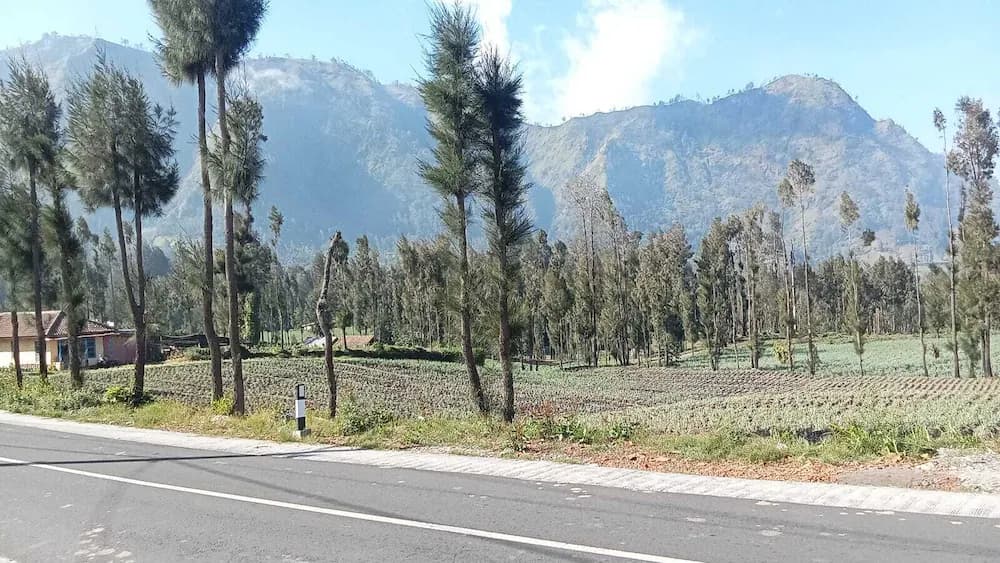 View from property