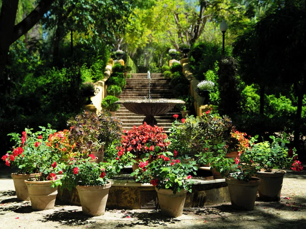 Garden