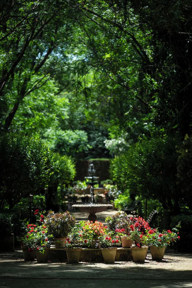 Garden