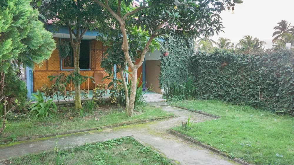 Courtyard view