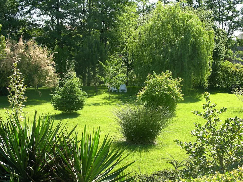 Garden