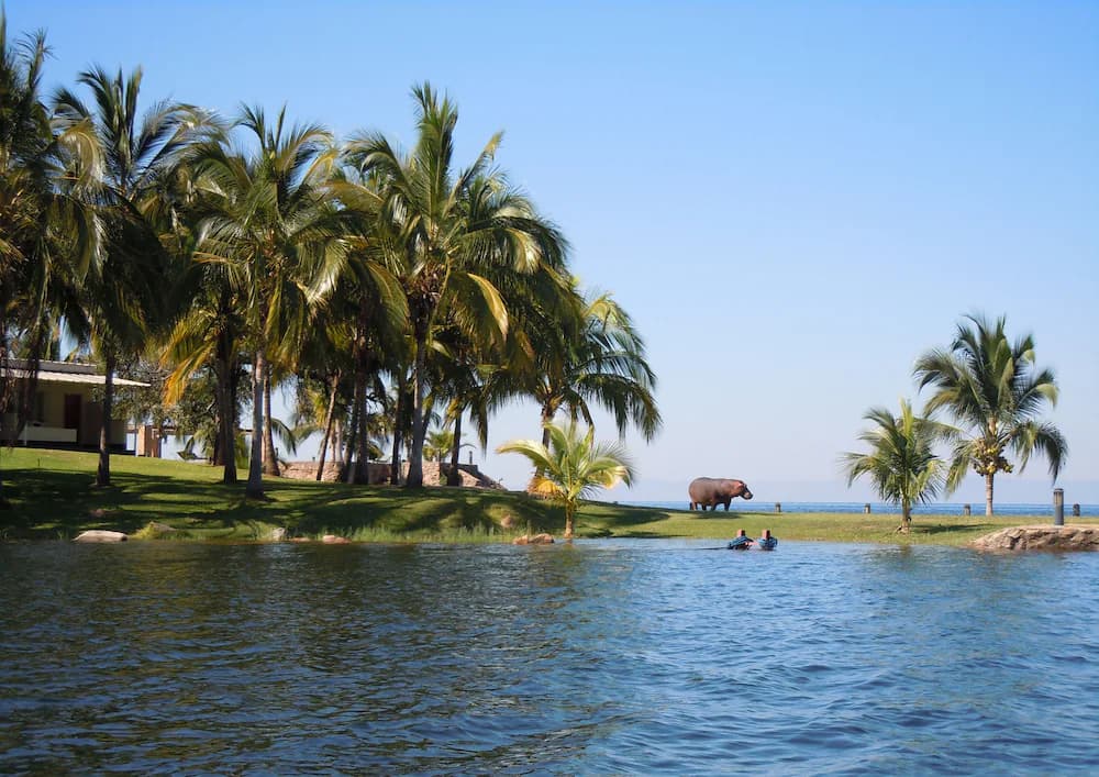 View from property