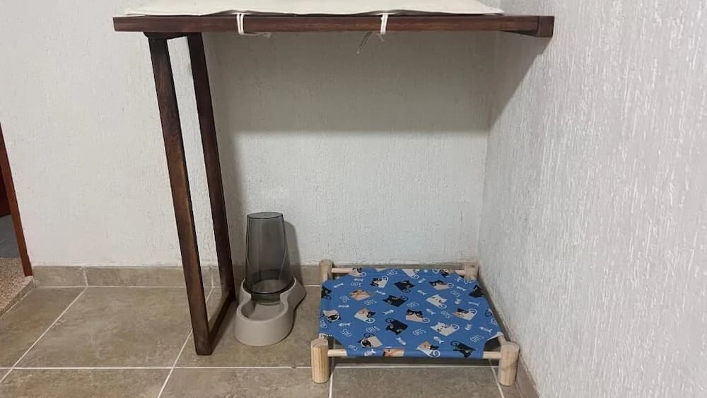 Pet-friendly