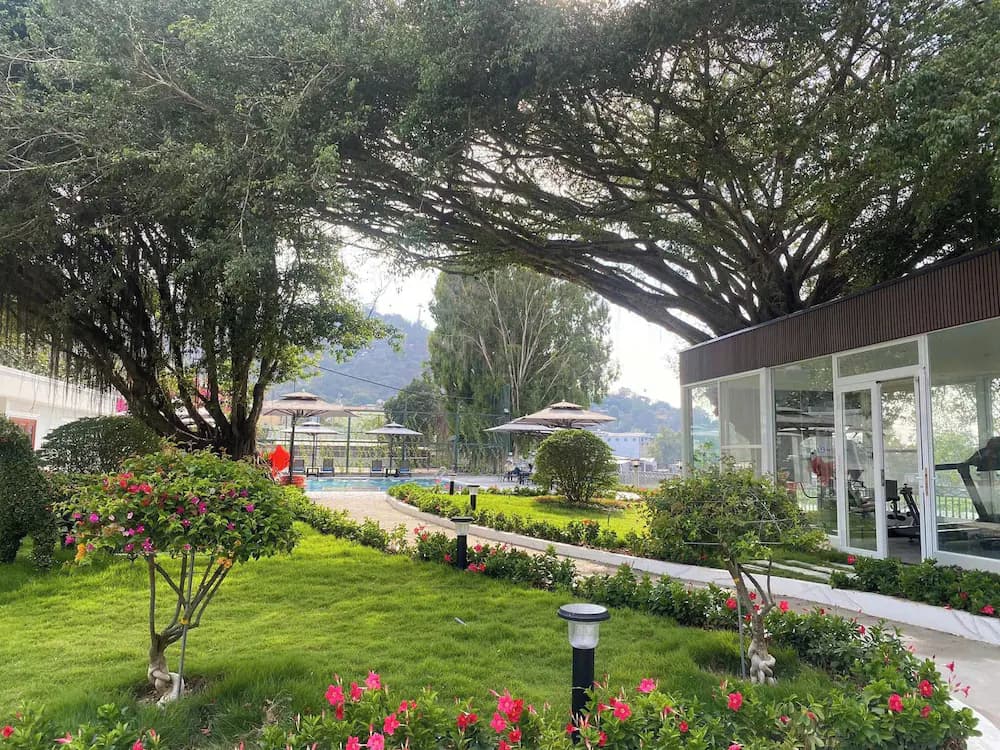 View from property