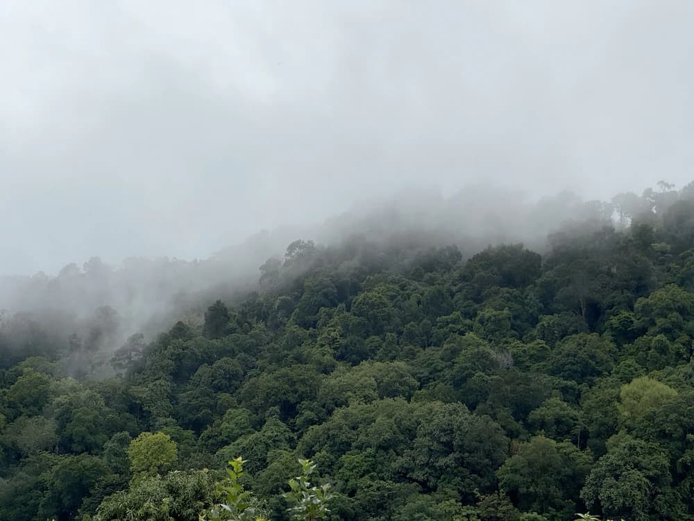 Mountain view