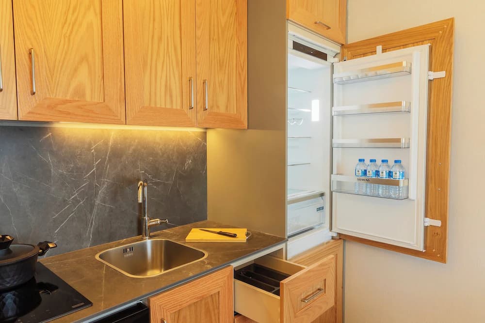 Mini-refrigerator