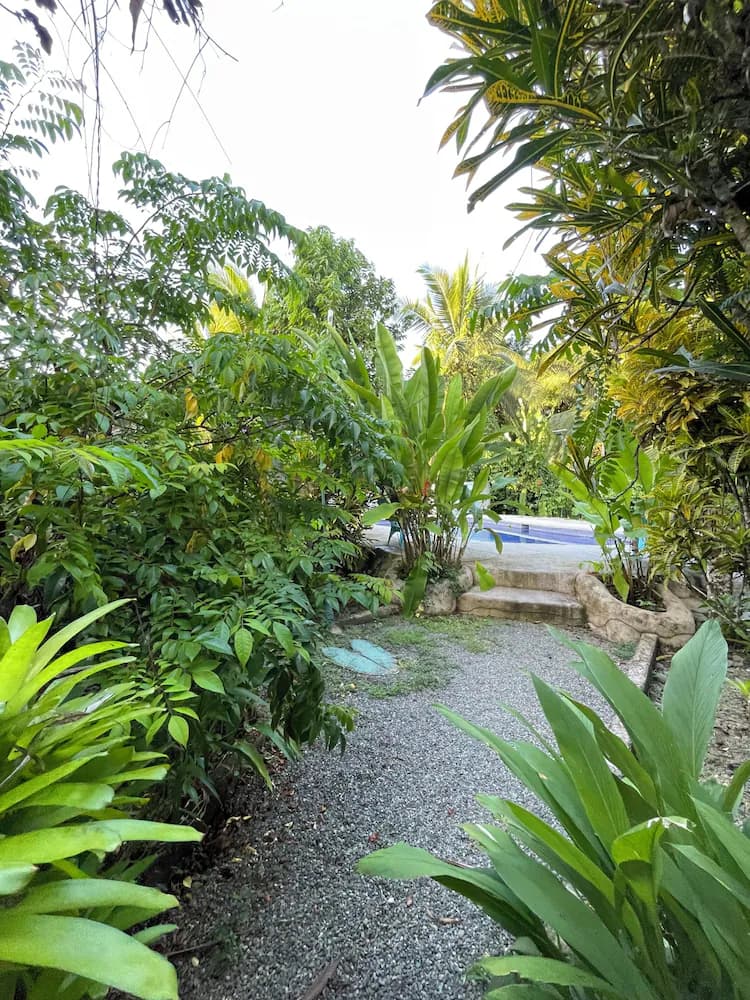 Garden view