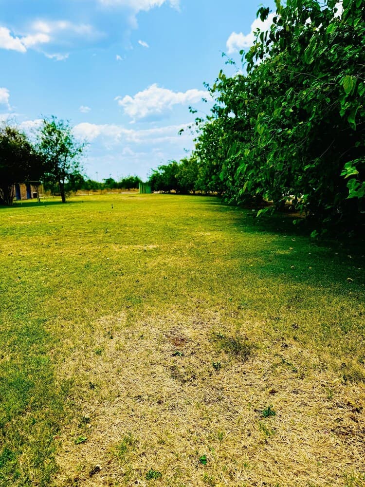 Property grounds
