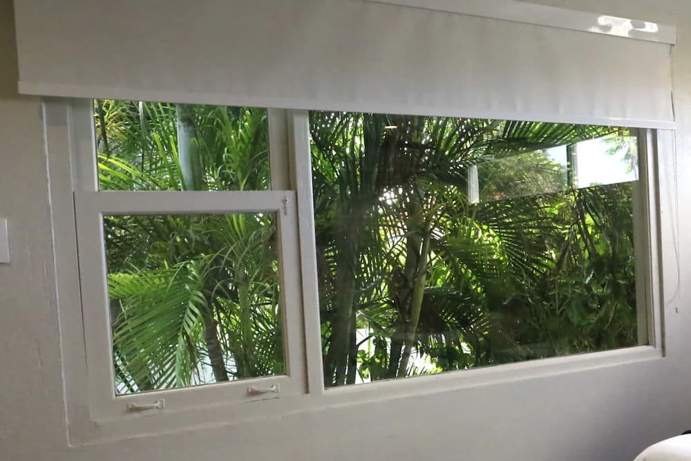Garden view