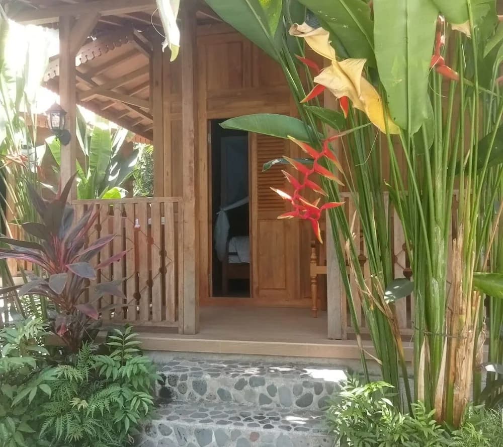 Garden view