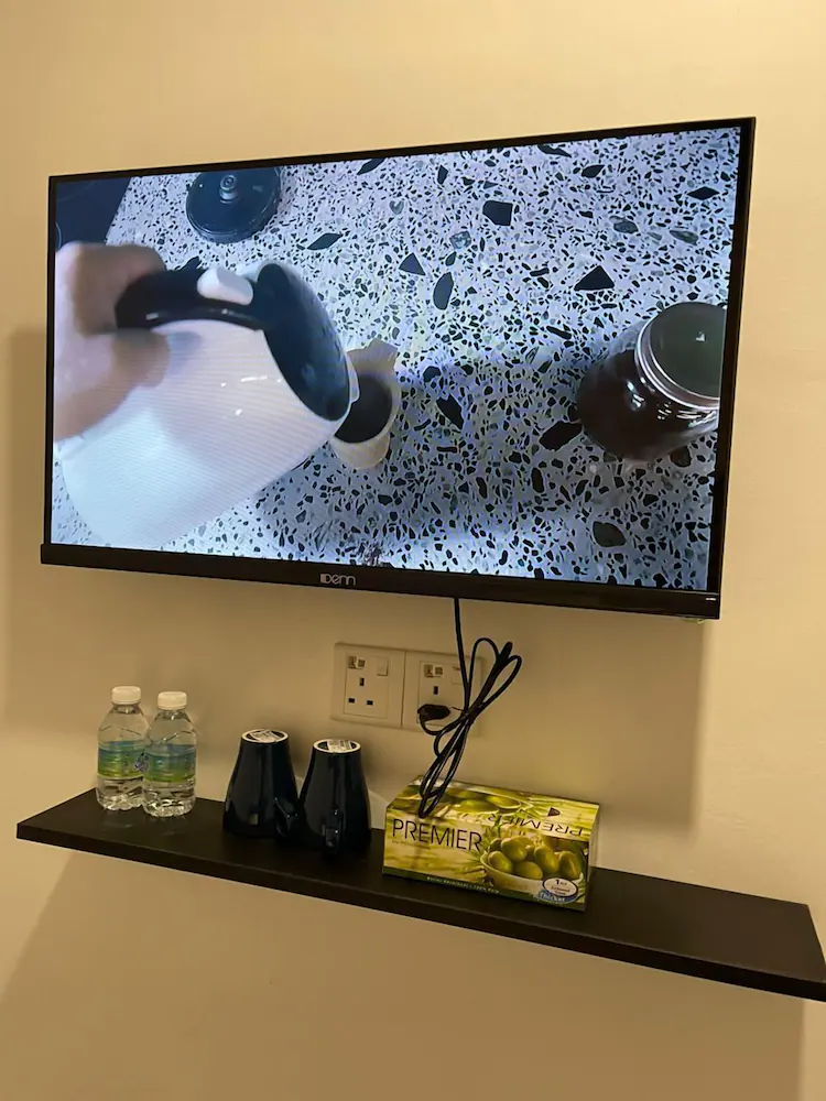 Television