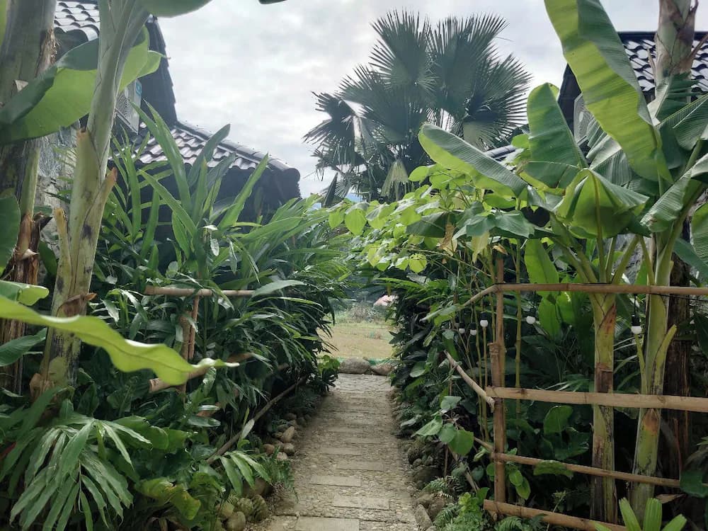 View from property