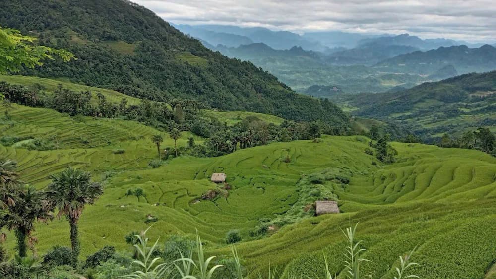 Land view from property