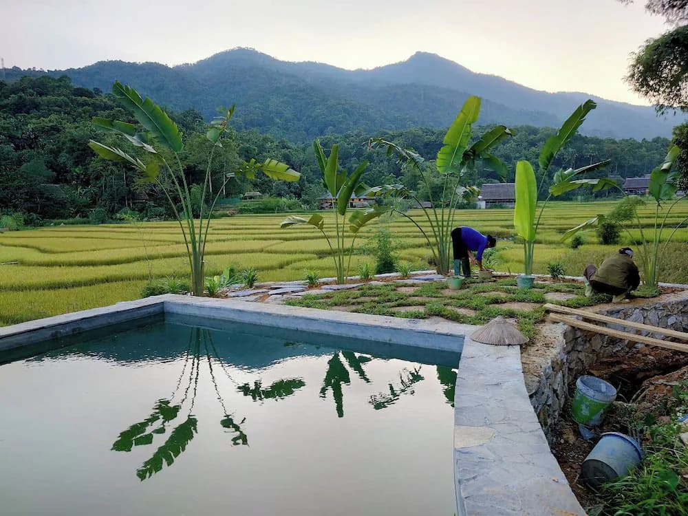 Pool