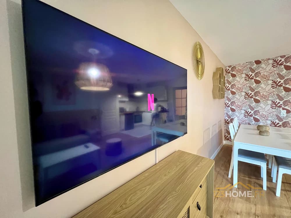 Television