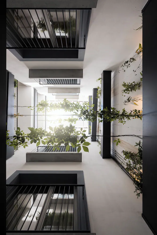 Courtyard view
