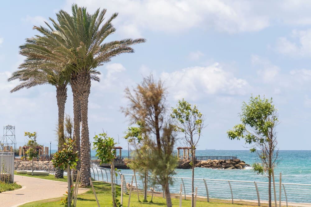 Beach/ocean view