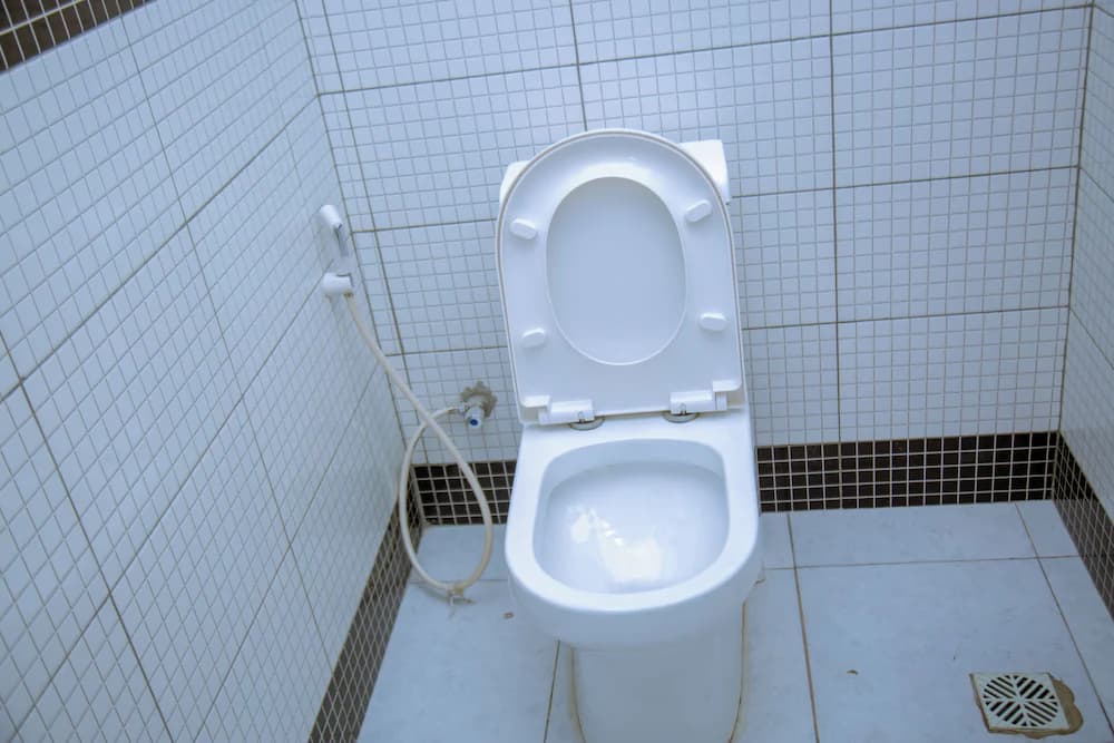 Raised toilet seat