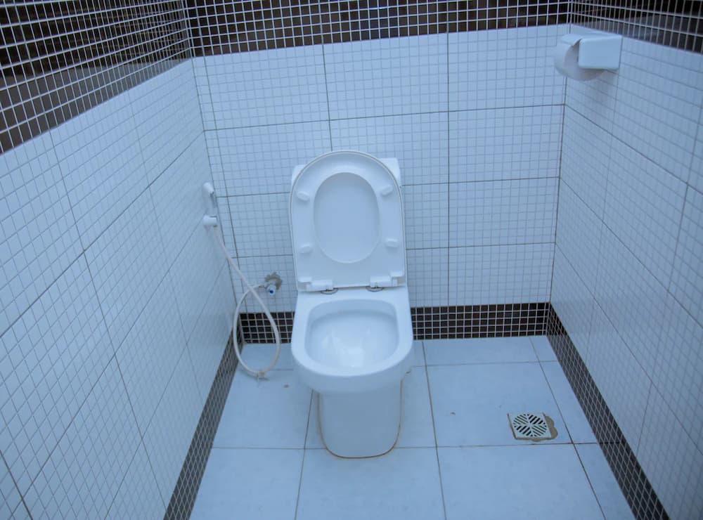 Raised toilet seat