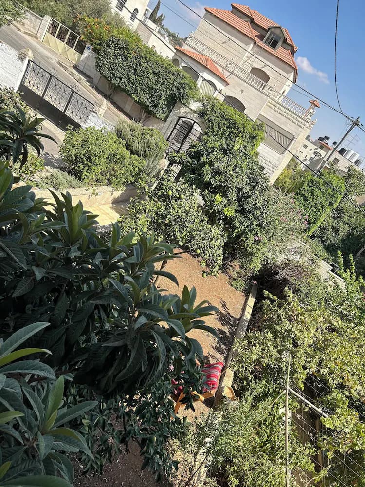 View from room