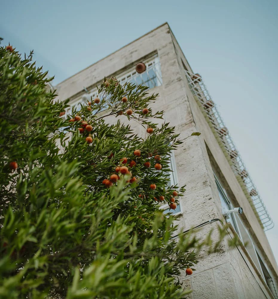 Garden view
