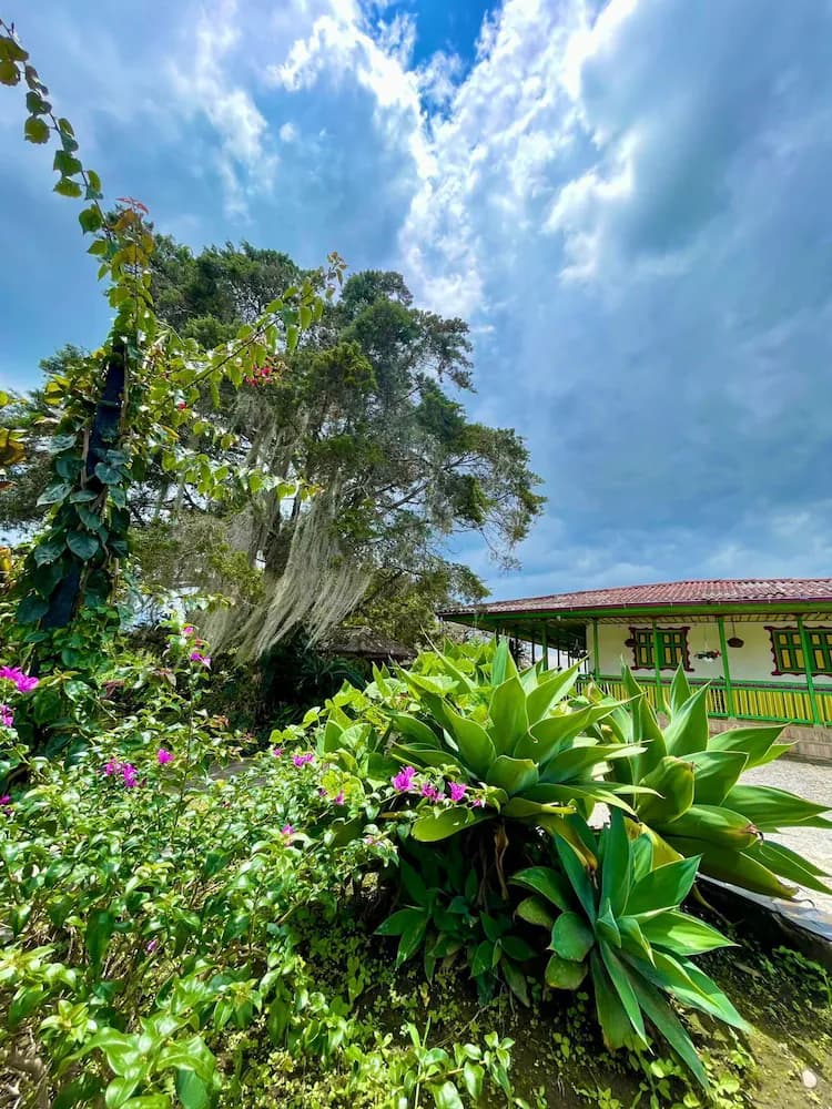 Front of property