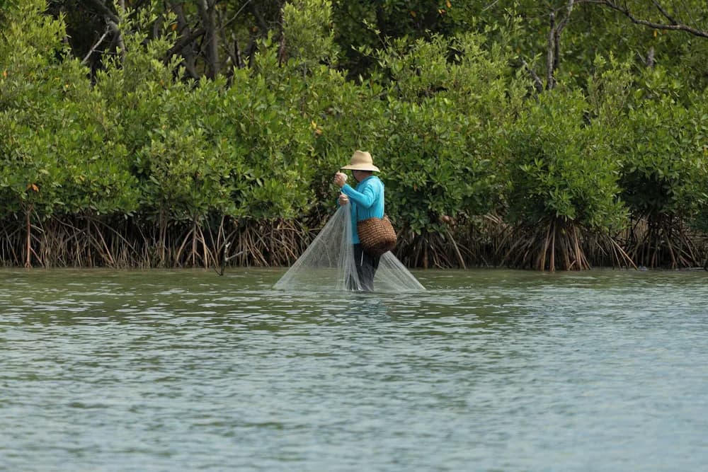 Kayaking