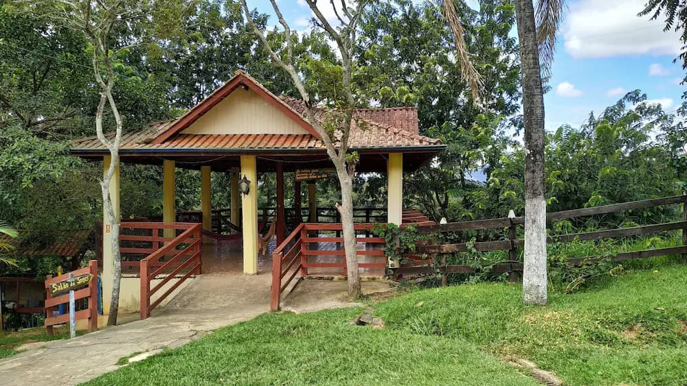 Garden view