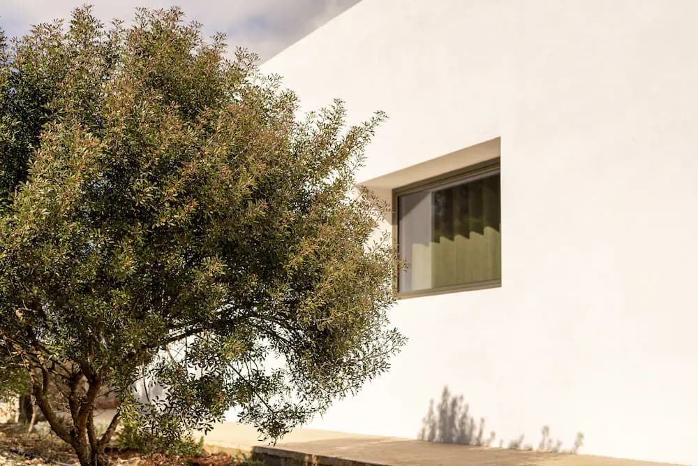 Building design