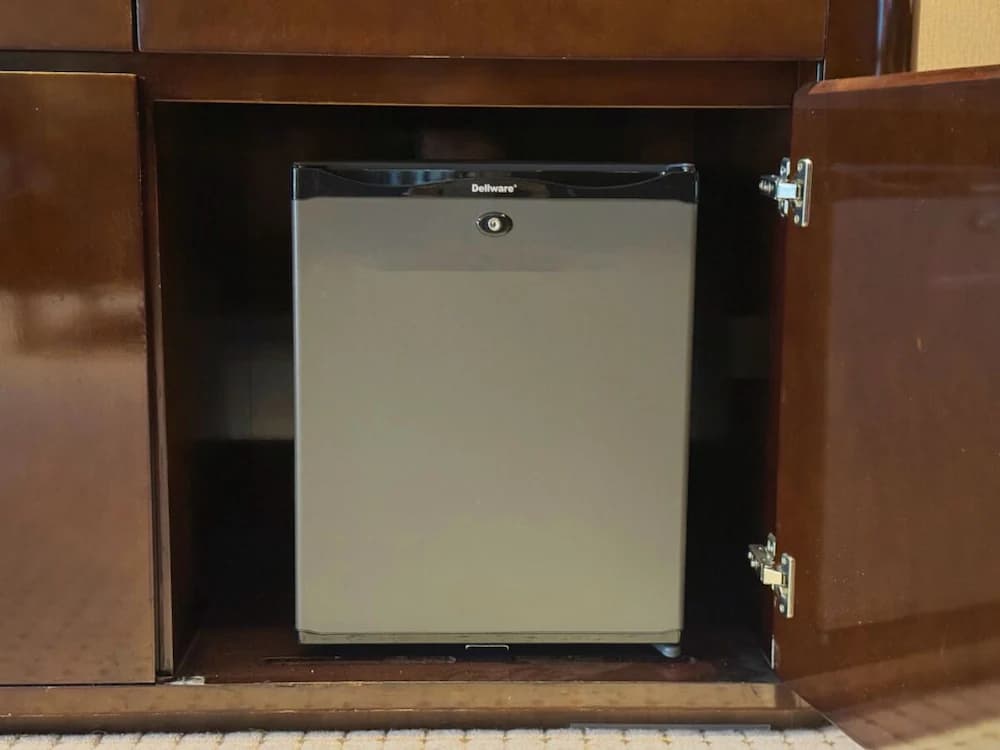 Mini-refrigerator
