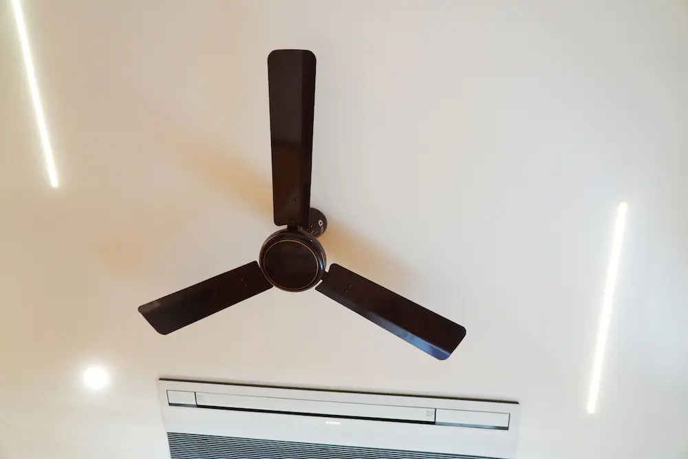 Fan