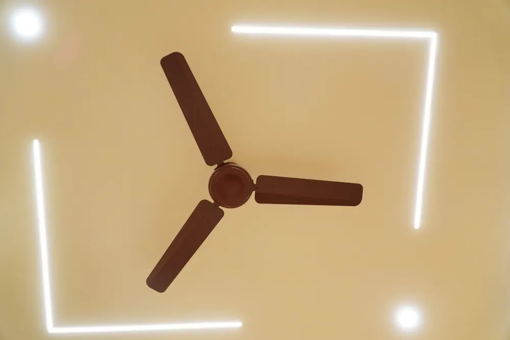 Fan