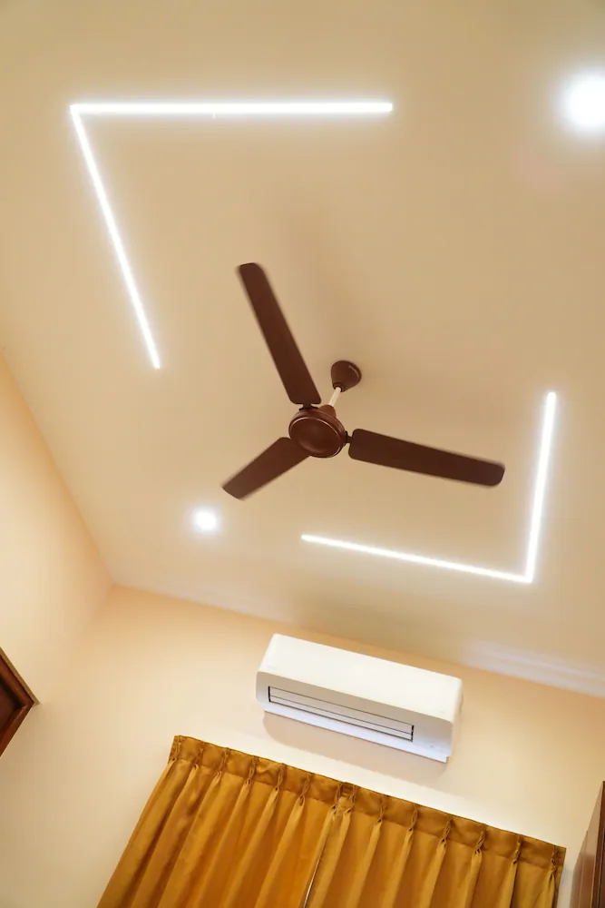 Fan